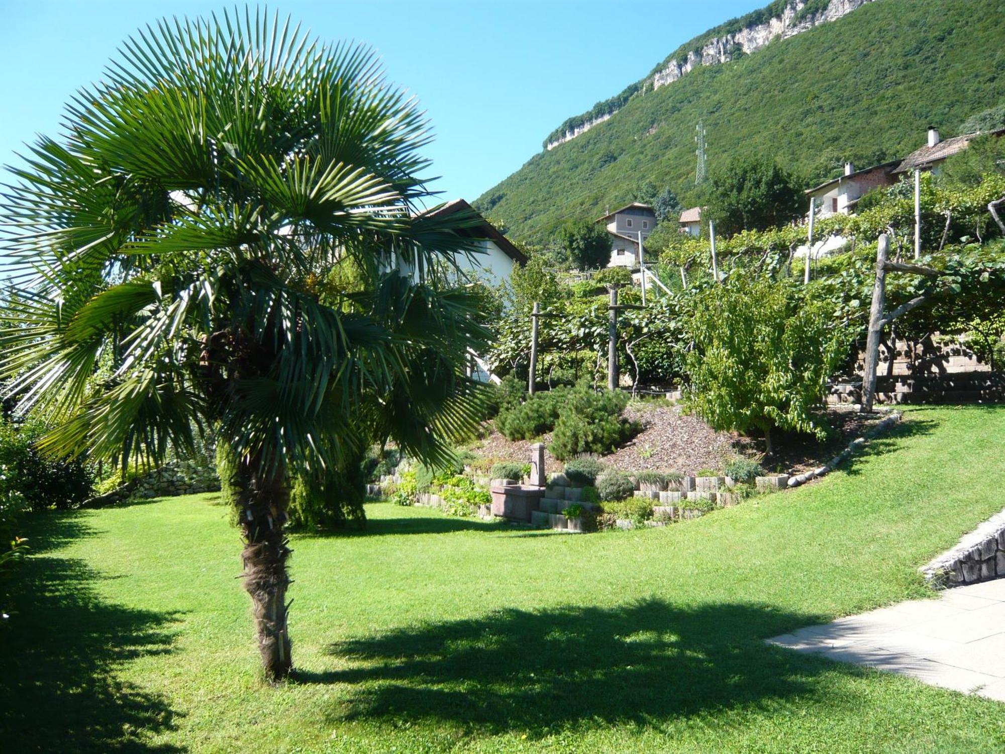 Garni Hotel Ritterhof Termeno Εξωτερικό φωτογραφία